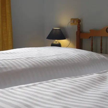 Hotel Du Parc & 3*