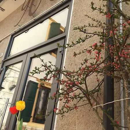 Du Parc & Lavarone